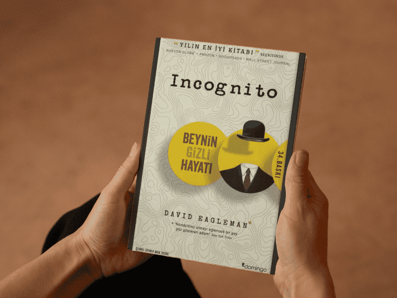 инкогнито билеты