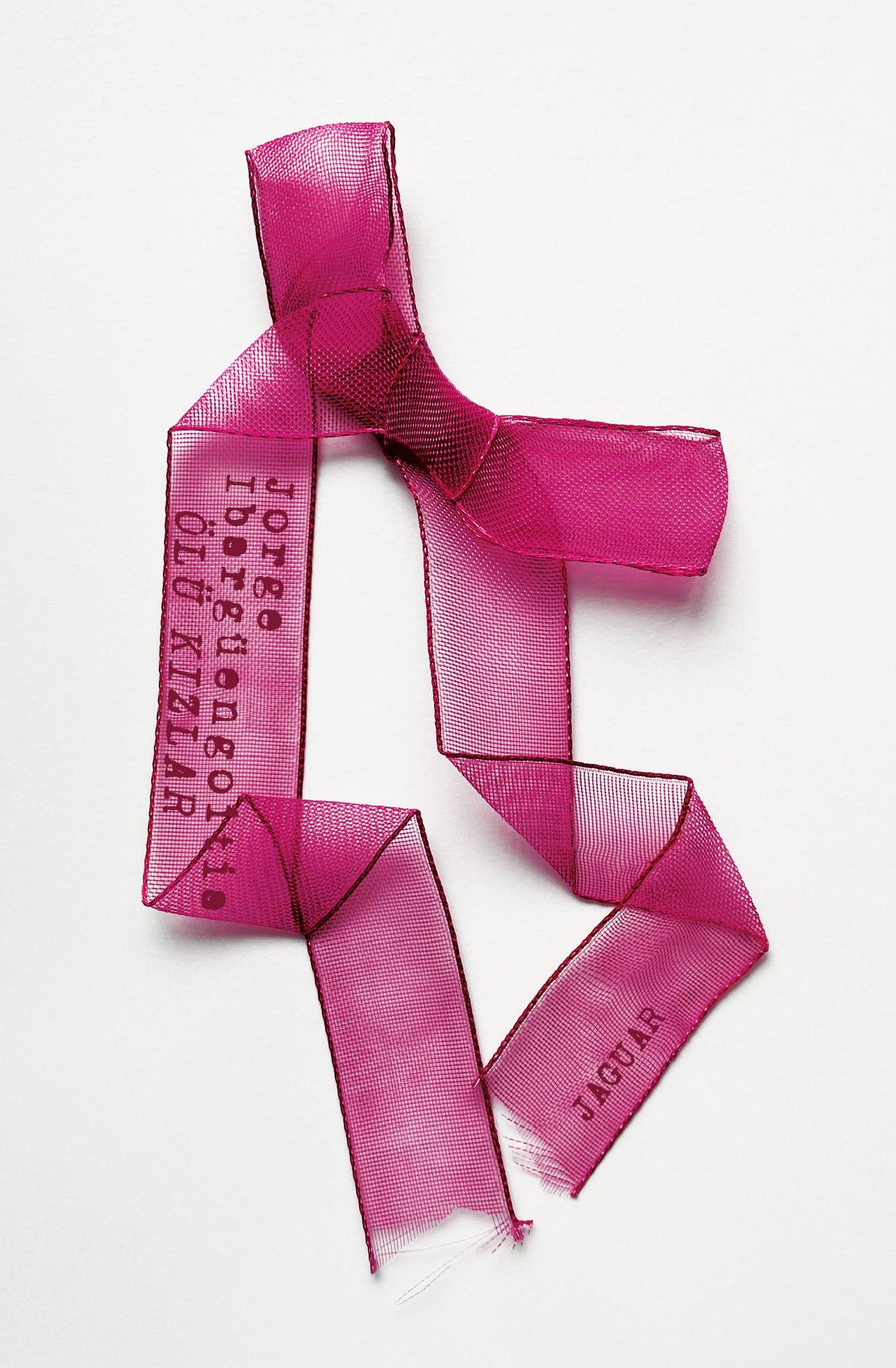 Meksikalı yazar Jorge Ibargüengoitia’nın, 1960’larda yaşanan gerçek bir kadın cinayetleri vakasından esinle kaleme aldığı kitap Ölü Kızlar Meksikalı yazar Jorge Ibargüengoitia’nın, 1960’larda yaşanan gerçek bir kadın cinayetleri vakasından esinle kaleme aldığı kitap Ölü Kızlar