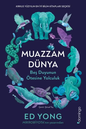 Muazzam Dünya