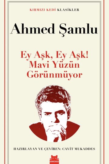 Ey Aşk, Ey Aşk! Mavi Yüzün Görünmüyor